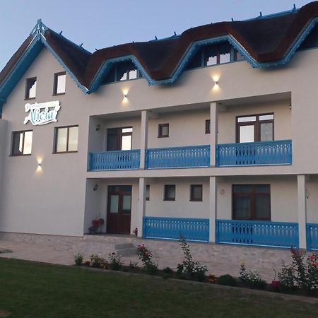 Pensiunea Alicia Jurilovca Bagian luar foto