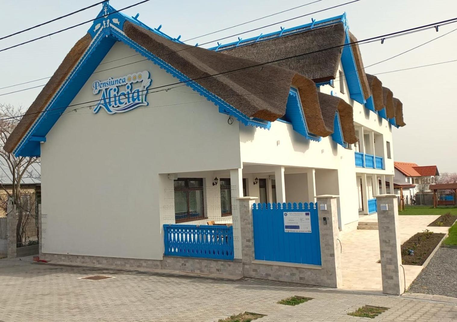 Pensiunea Alicia Jurilovca Bagian luar foto